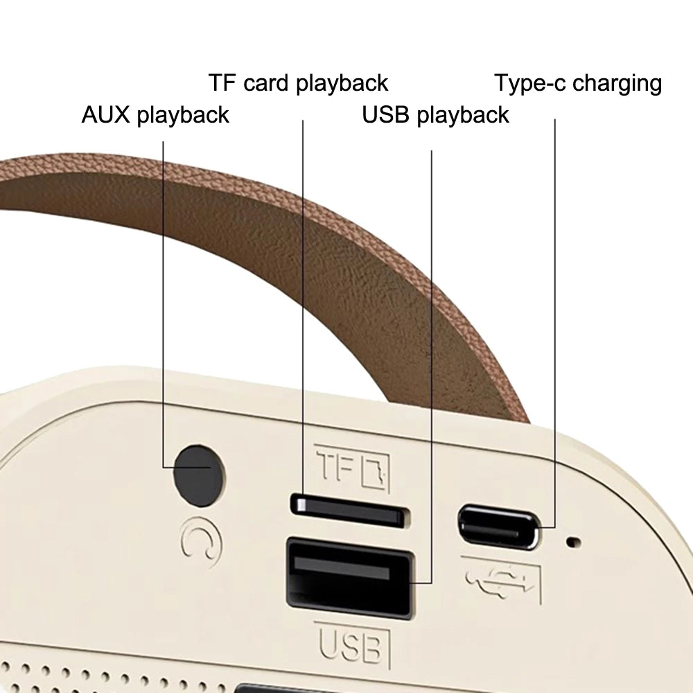 Dual Wireless Portable Karaoke Machine with Microphones for Adults & Kids