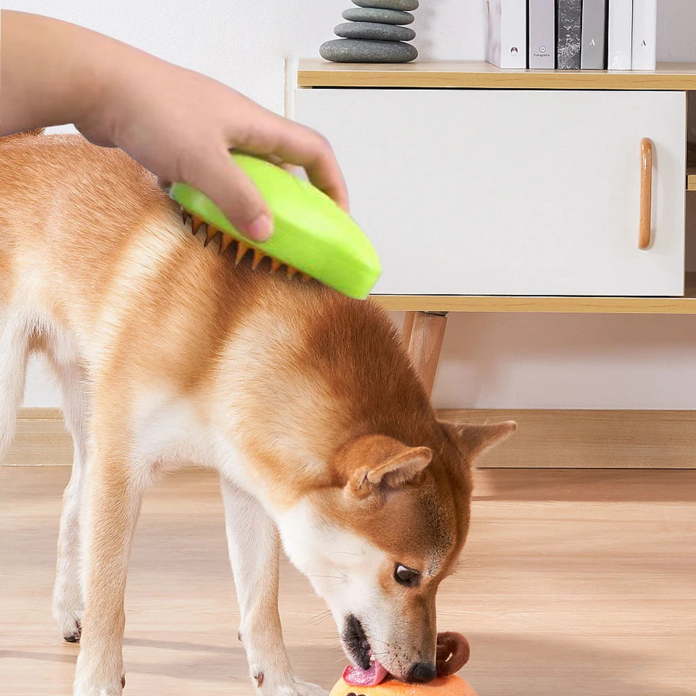 Brosse de toilettage pour animaux avec spray électrique