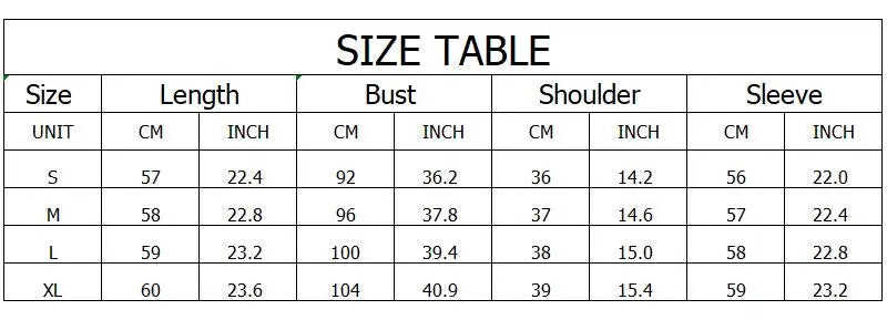 Y2K Lace Sheer Long Sleeve Blouse