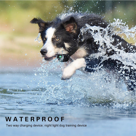 Remote Control Dog Training Collar – (Rechargeable, Waterproof with Beep & Vibration)