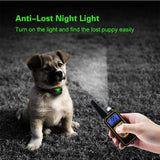 Remote Control Dog Training Collar – (Rechargeable, Waterproof with Beep & Vibration)