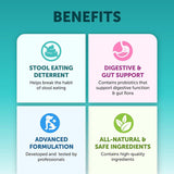 Pet Intestinal Probiotic Chewable Tablets – Digestive Support for Dogs & Cats | Gut Health & Daily Wellness Supplement