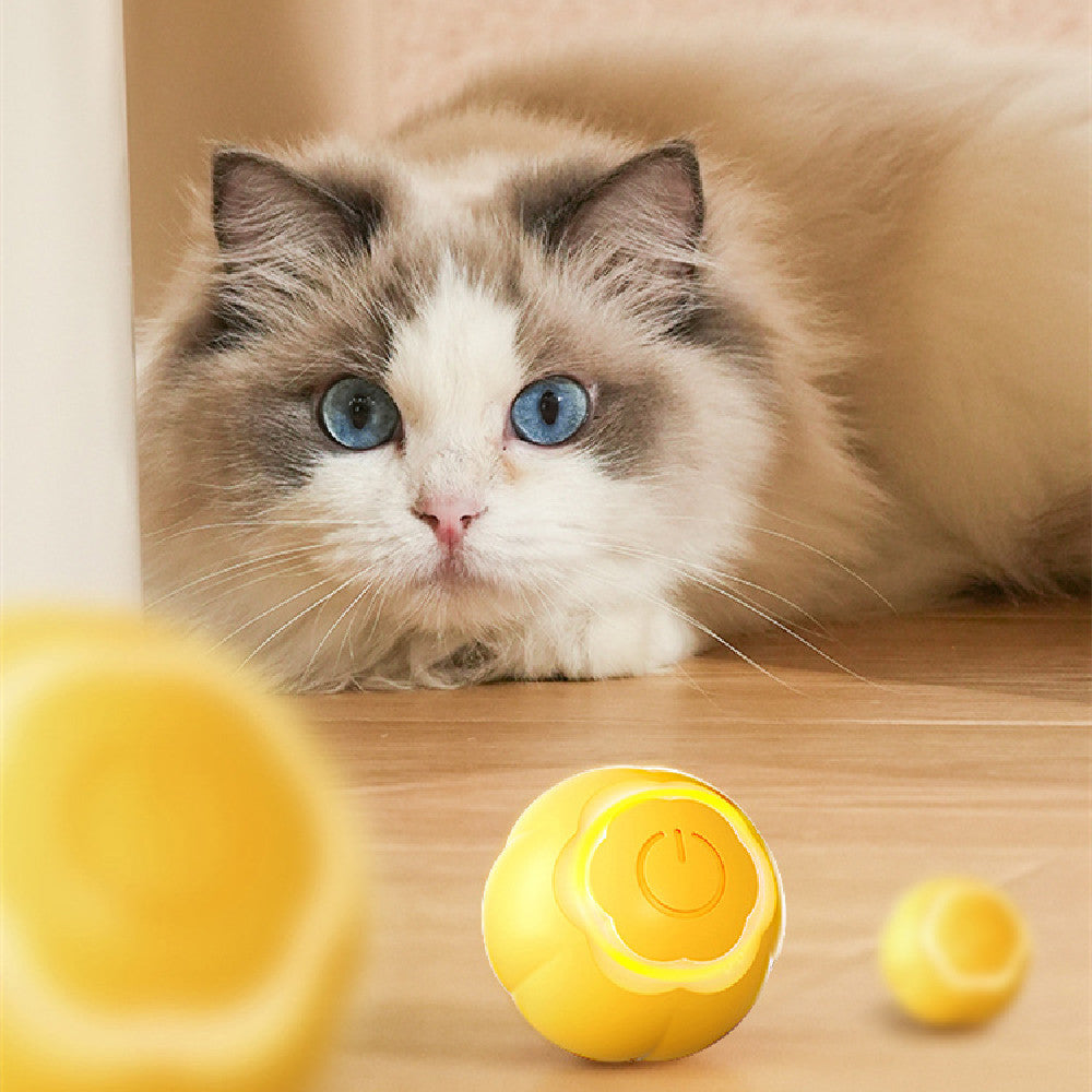 Smart Rolling Ball Cat Toy – Interactive Bite-Resistant Automatic Pet Toy for Boredom Relief & Exercise