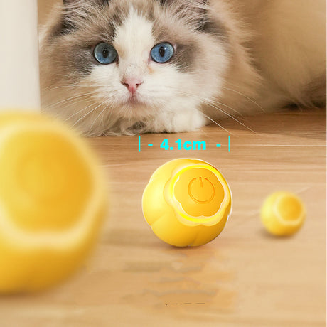 Smart Rolling Ball Cat Toy – Interactive Bite-Resistant Automatic Pet Toy for Boredom Relief & Exercise