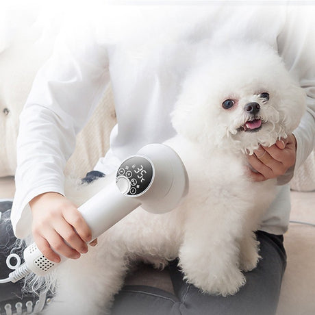 Smart Silent Pet Hair Dryer & Grooming Comb for Dogs and Cats