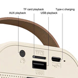 Dual Wireless Portable Karaoke Machine with Microphones for Adults & Kids