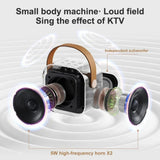 Dual Wireless Portable Karaoke Machine with Microphones for Adults & Kids