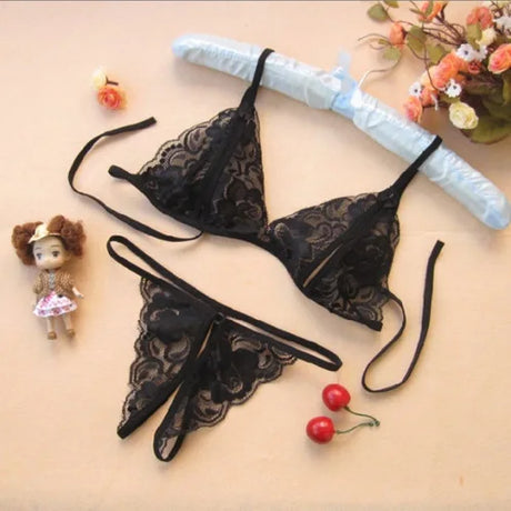 Women’s Sheer Lace Sexy Lingerie Set with Garters