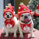 Funny Dog Christmas Hat
