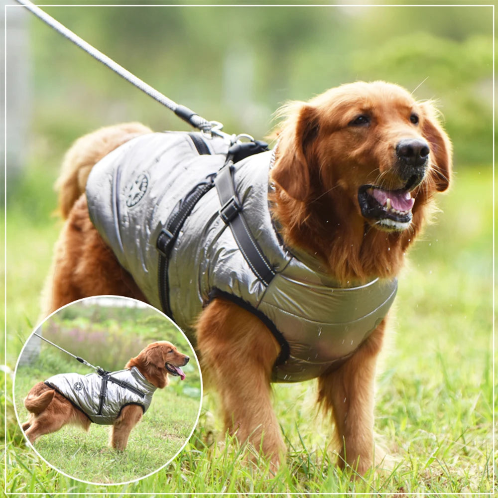Winter Warm Waterproof Dog Jacket with Built-In Harness