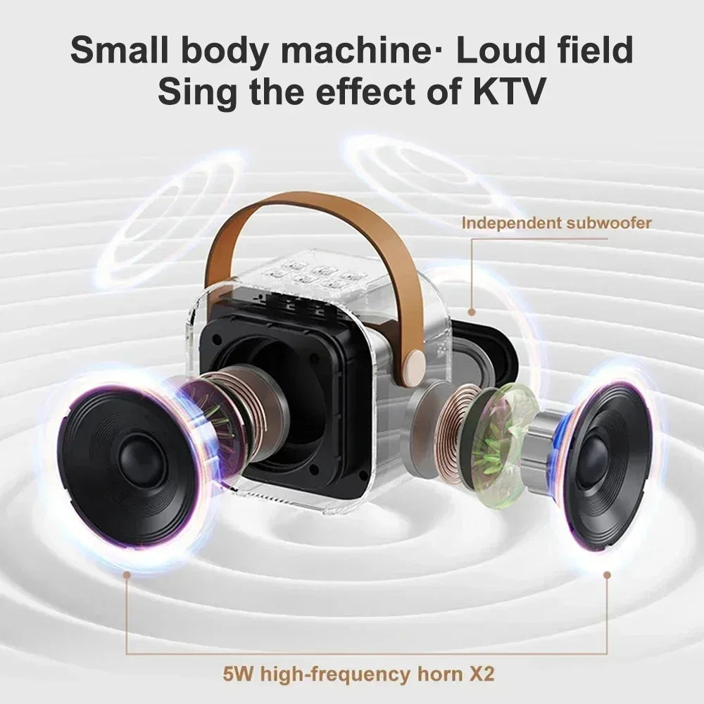 Dual Wireless Portable Karaoke Machine with Microphones for Adults & Kids