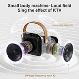 Dual Wireless Portable Karaoke Machine with Microphones for Adults & Kids