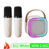 Dual Wireless Portable Karaoke Machine with Microphones for Adults & Kids