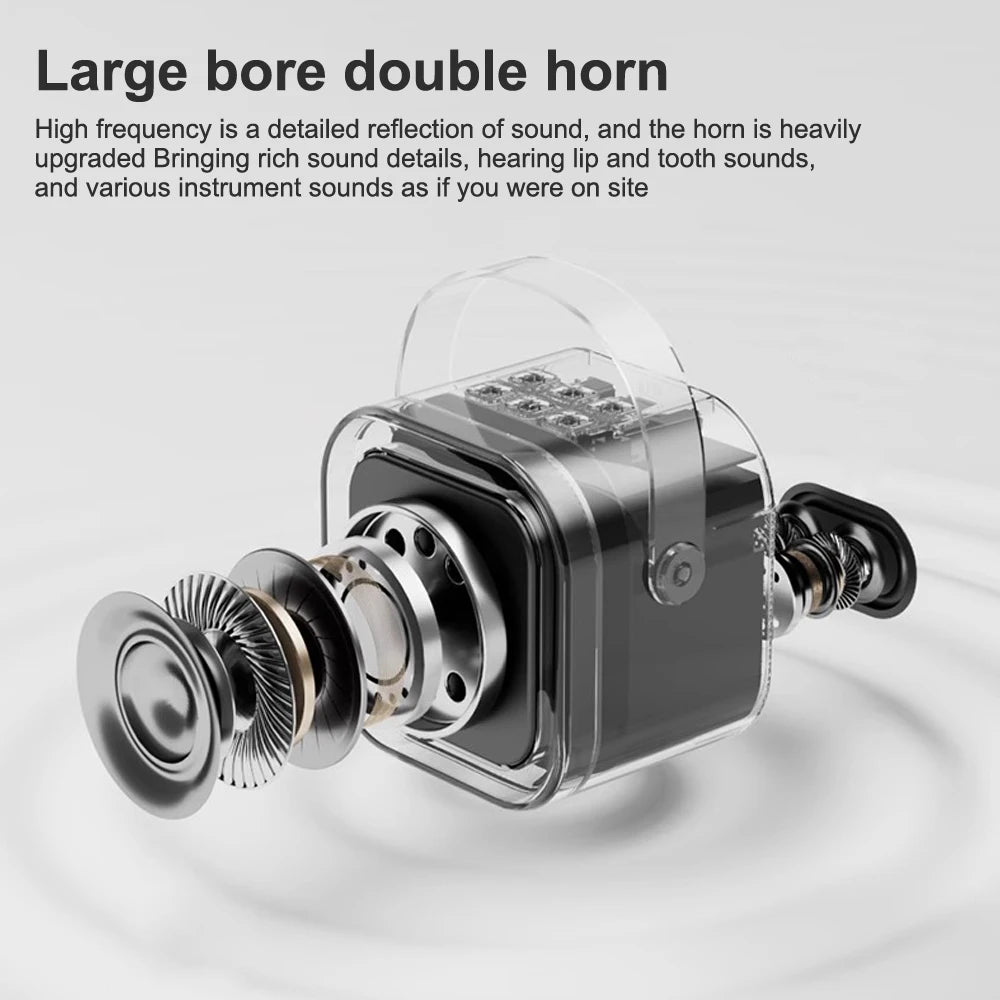 Dual Wireless Portable Karaoke Machine with Microphones for Adults & Kids