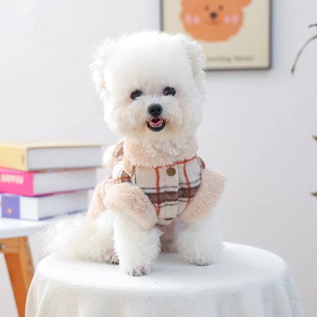 Pet Cat & Dog Winter Jacket – Thickened Warm Coat with Bow Decoration