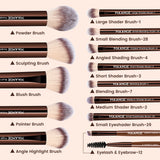 MAANGE 13PCS Cosmetic Brush Kit – Face, Blush, Eyeshadow & Kabuki Blending Makeup Tools