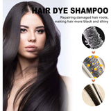 3 in 1 100ml Natural Plant Hair Dye Shampoo