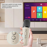 Dual Wireless Portable Karaoke Machine with Microphones for Adults & Kids