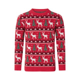 Matching Family Christmas Sweaters – Snowflake & Reindeer Knitted Long Sleeve Pullovers | Holiday Round Neck Jersey Tops