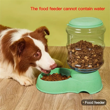 Distributeur automatique de nourriture et d'eau pour animaux – Station d'alimentation grande capacité pour chiens et chats