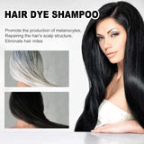3 in 1 100ml Natural Plant Hair Dye Shampoo