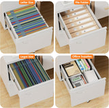 2 Drawers Mobile File Cabinet, Metal Under Desk Cabinet With Lock, For Office & Home, Legal Letter Size, Assembly Required White